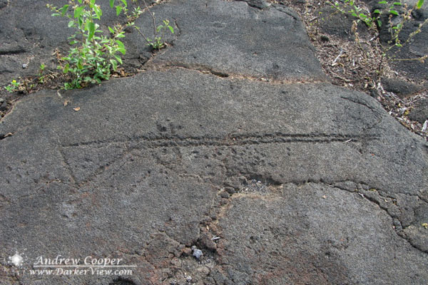 Hawaiian Petroglyph Warrior