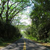 Puna