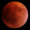 Lunar Eclipses