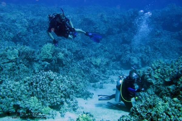 Kirk and Deb explore the reef at Mahukona