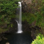 Hamakua Waterfall