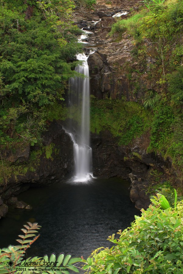 Hamakua Waterfall