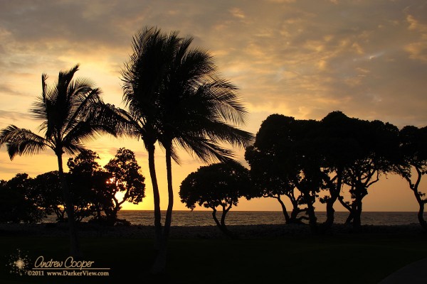 Sunset seen through the trees of a resort at Waikoloa, Hawai'i