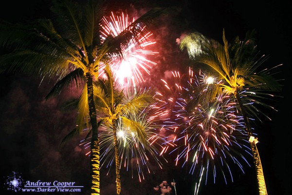 Fireworks over Palm Trees
