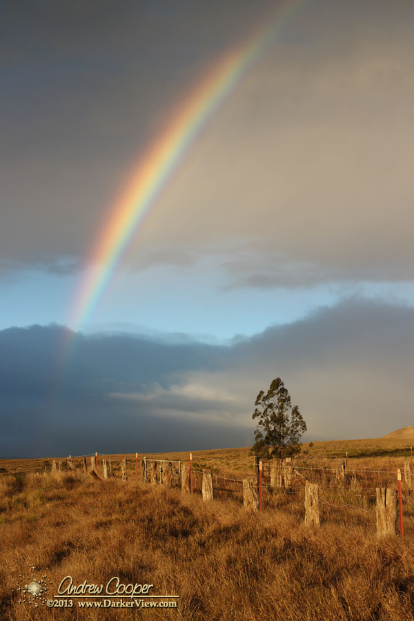Kohala Rainbow