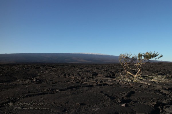 Snowy Mauna Loa