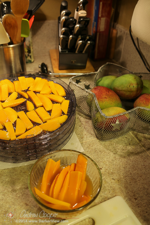 Mangoes in the Dehydrator