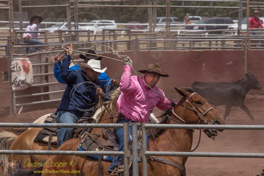 Parker Ranch Rodeo