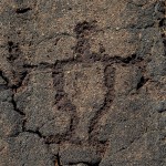Hawaiian Petroglyph