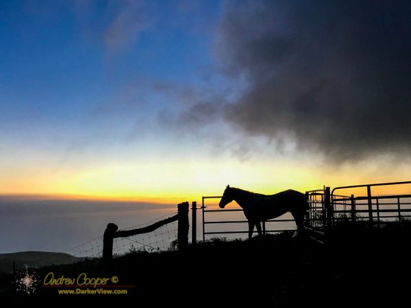 A horse stands in the sunset at Kahua Ranch