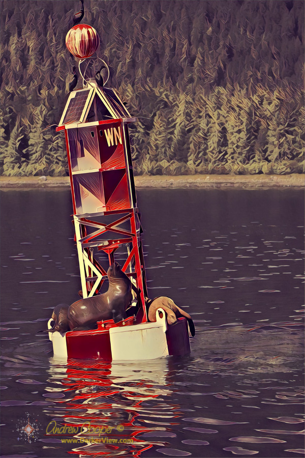 Sea Lions using the Wrangell Narrows mid-channel marker as a resting place