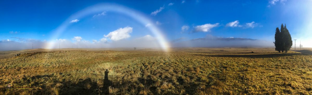 A morning fogbow along the access road leading to a snowy Mauna Kea