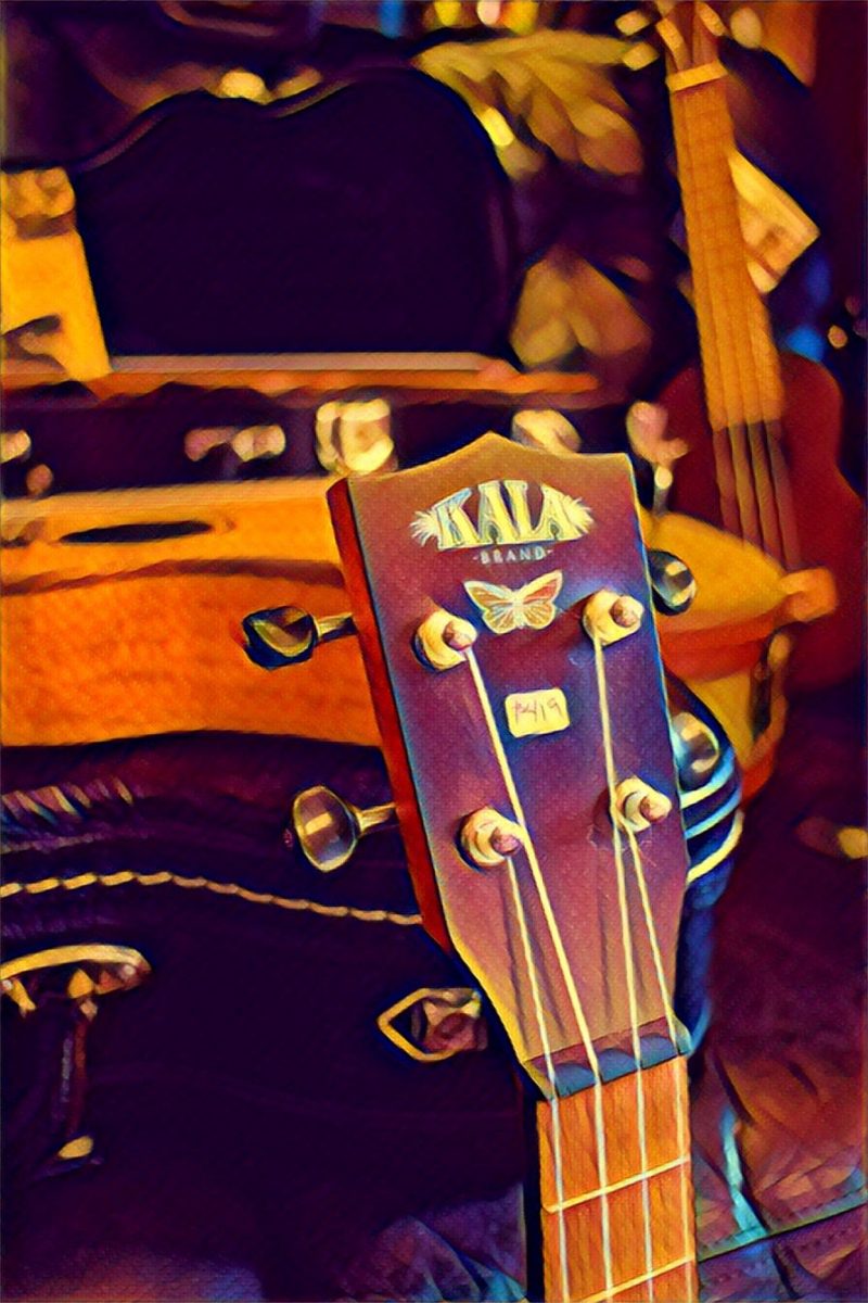 A ukulele sits for sale in a Hawi shop