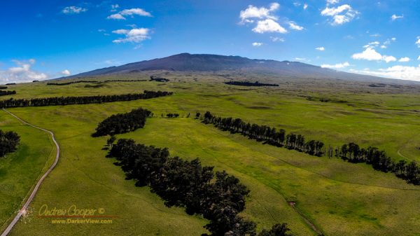 Mauna Kea from Mana Road