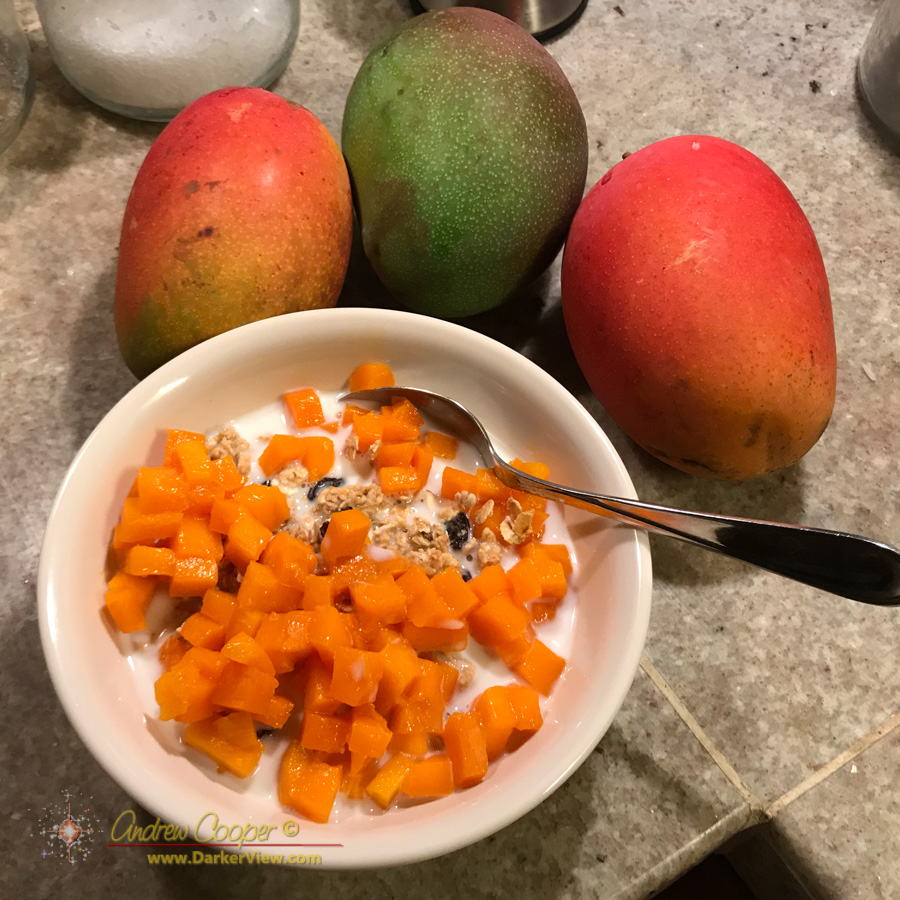 A breakfast of granola topped with plenty of fresh mango