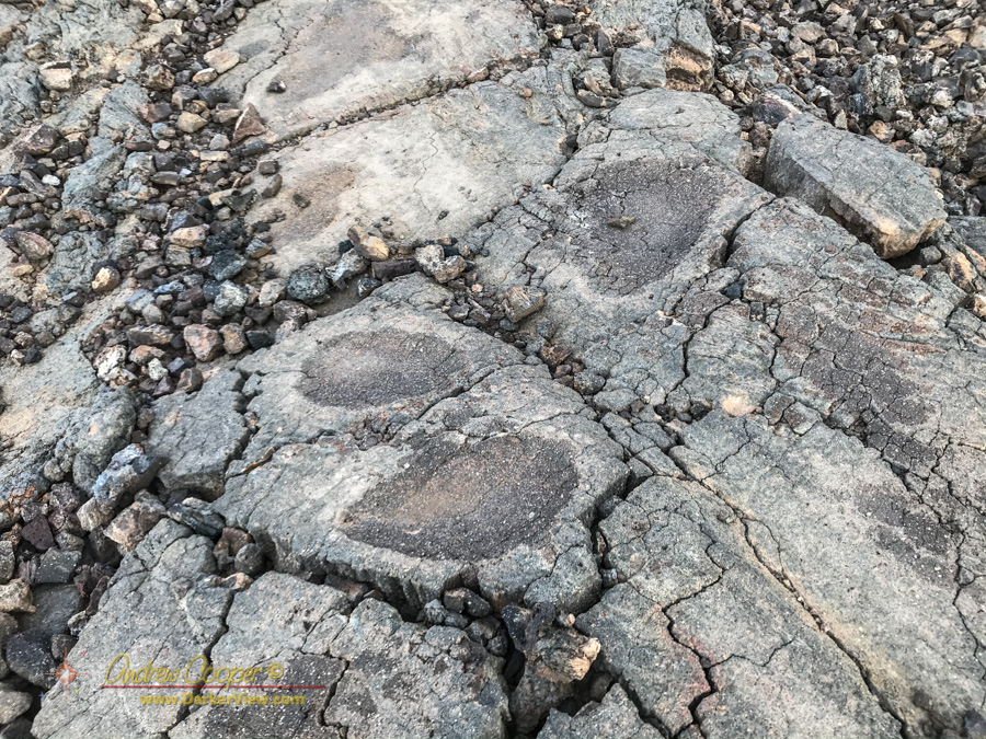 Depressions in the pahoehoe surface made while shaping stone abraders