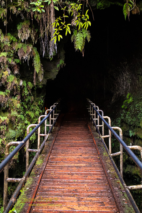 The Entry to Thurston Lava Tube in Hawaiʻi Volcanoes National Park