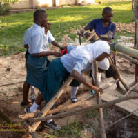 Students peer into the well