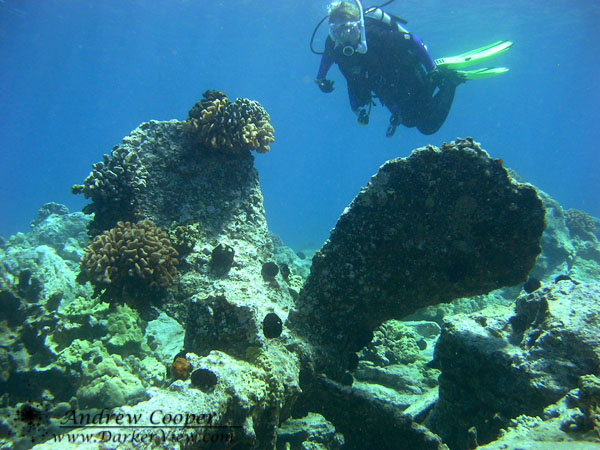 Wreck of the SS Kauai