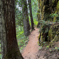 The trail to Panther Falls