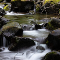 A small side stream found along Panther Creek, WA