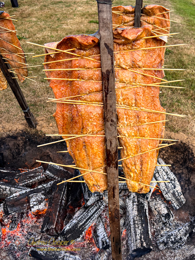 Roasting salmon over open coals in a traditional manner
