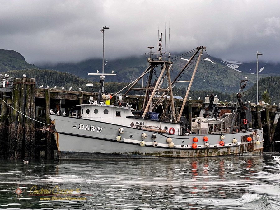 The fish processor Dawn unloads in Cordova, AK
