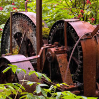 A large winch list abandoned in the brush