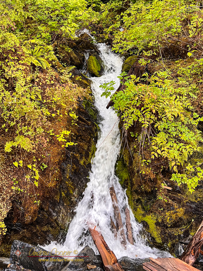 A small unnamed stream tumbles through the rock