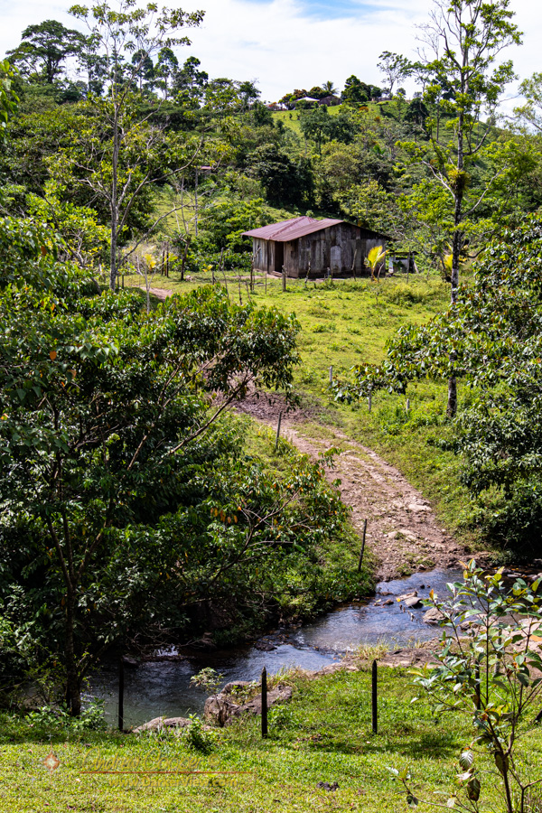 A farm in the hills above Las Torres, Nicaragua