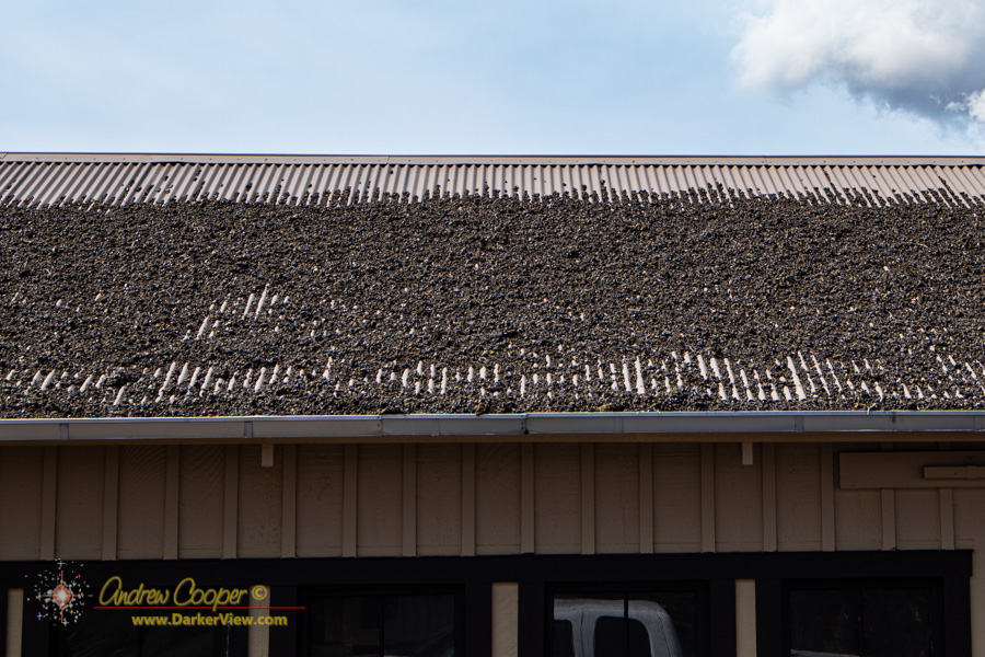 Tephra accumulation from recent eruptions on a roof at Kilauea Military Camp