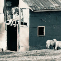 Jerry's hay barn