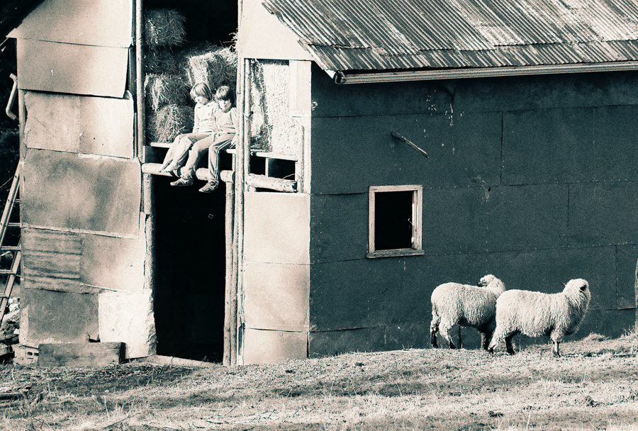 Jerry's hay barn