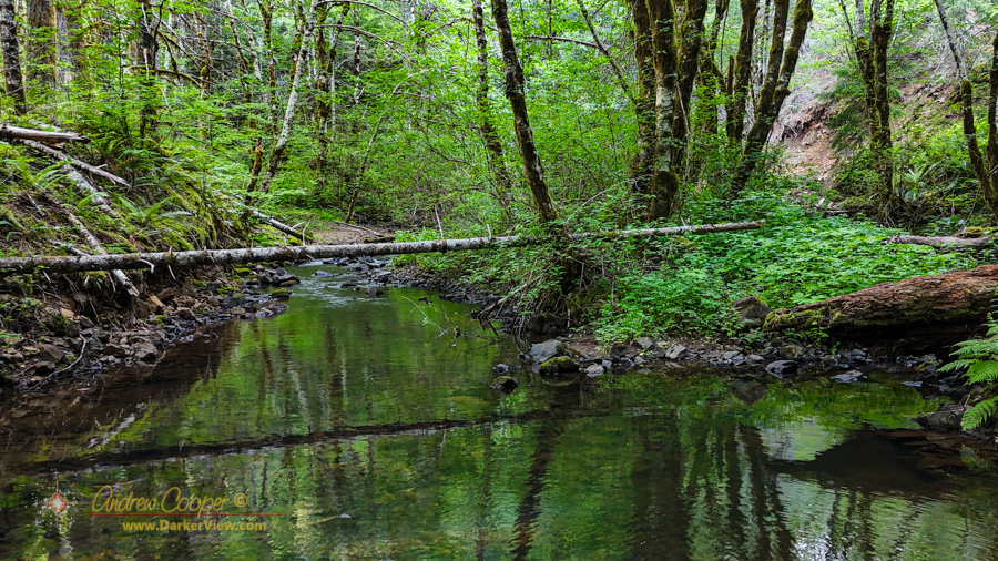 Devils Lake Fork of the Wilson River