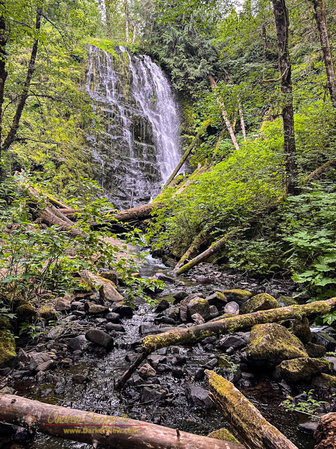 80' tall University Falls in The Tillamook Forest