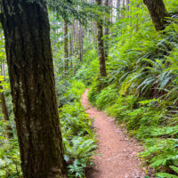 Deyoe Creek Trail