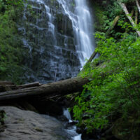 The picturesque University Falls in Tillamook Forest