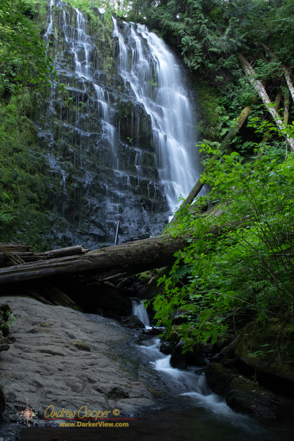 The picturesque University Falls in Tillamook Forest
