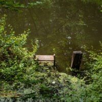 Remains of a dock at Jerry's Pond