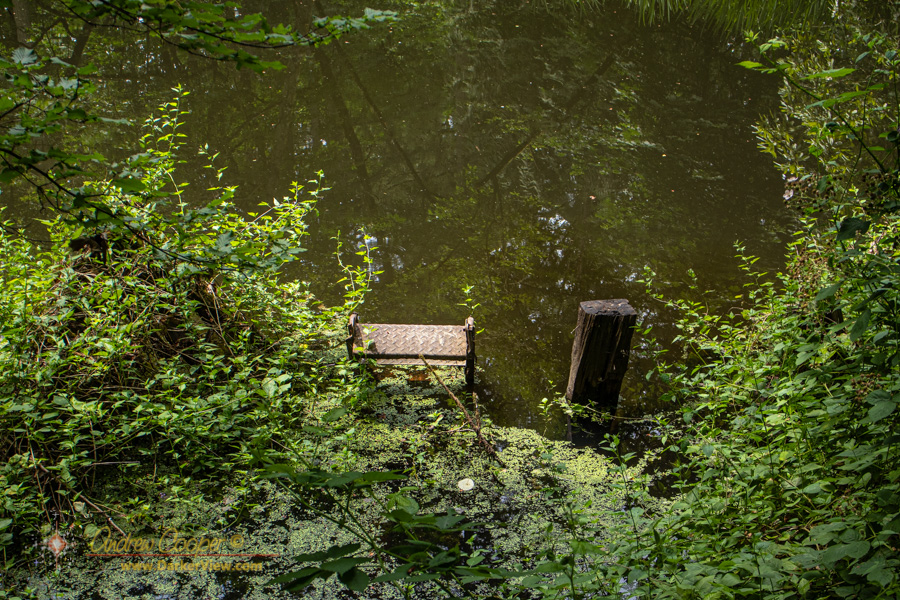 Remains of a dock at Jerry's Pond