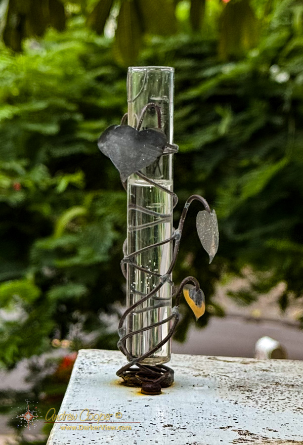 Several inches of rain in the gauge after Hurricane Lala
