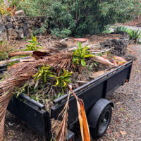 A trailer load of debris await removal after Hurricane Lala